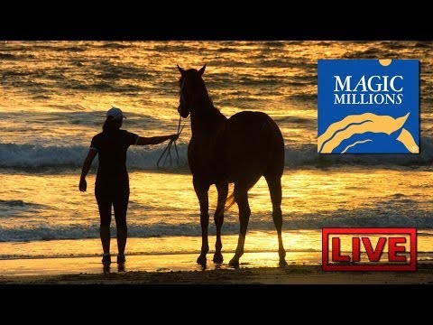 2014 Gold Coast March Yearling Sale Day 1