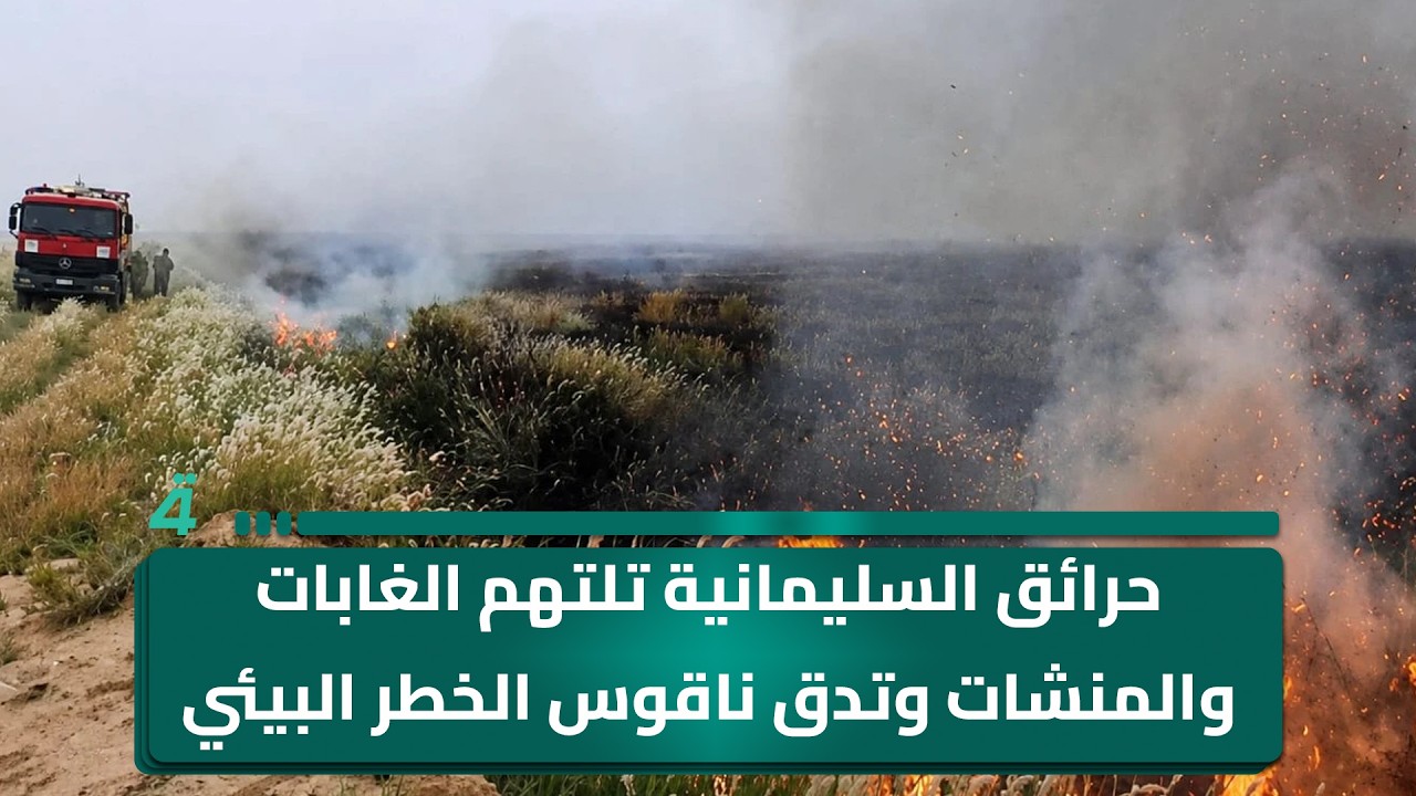 فيديو | حرائق السليمانية تلتهم الغابات والمنشاٌت وتدق ناقوس الخطر البيئي