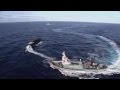 Whale Wars Intro