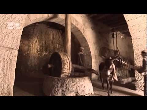 Evangelio Domingo 11 septiembre 2011