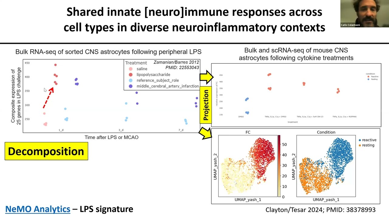Harnessing Public Multi-omics data to Discover Shared Mechanisms in Neuroinflammation