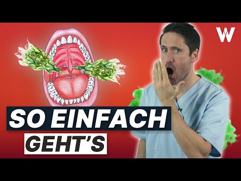 Mundgeruch: Sind Sie krank oder woran liegts? Top Tipps gegen schlechten Atem! (ärztlich geprüft)