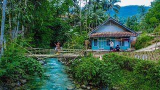 Download lagu Hidup Di Desa , Ini Yang Akan Di Rasakan, Suasana Di Rumah Pinggir Sungai mp3 Download lagu Hidup Di Desa , Ini Yang Akan Di Rasakan, Suasana Di Rumah Pinggir Sungai mp3