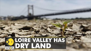 Loire Valley receives less than 50% of yearly rainfall, farmers face dilemma | WION Climate Tracker