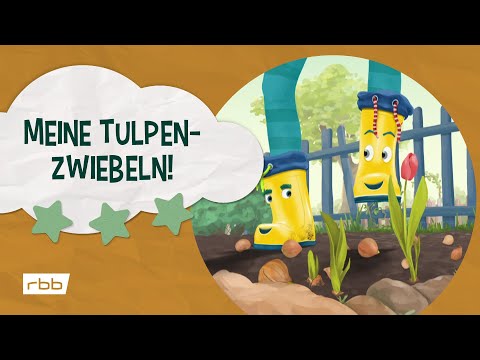 Geschichten aus dem Schuhregal: Meine Tulpenzwiebeln! | Unser Sandmännchen