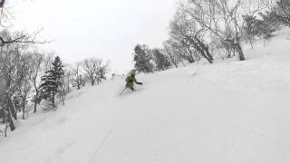 LITTLE PARCELS OF AN ENDLESS TIME