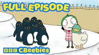 Sarah, Duck and the Penguins 🐧 | Series 1 Episode 2 | CBeebies 🦆 #FullEpisode