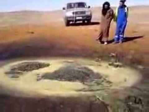 نعمة الله في الصحراء الجزائرية و شعبها فقير و محروم