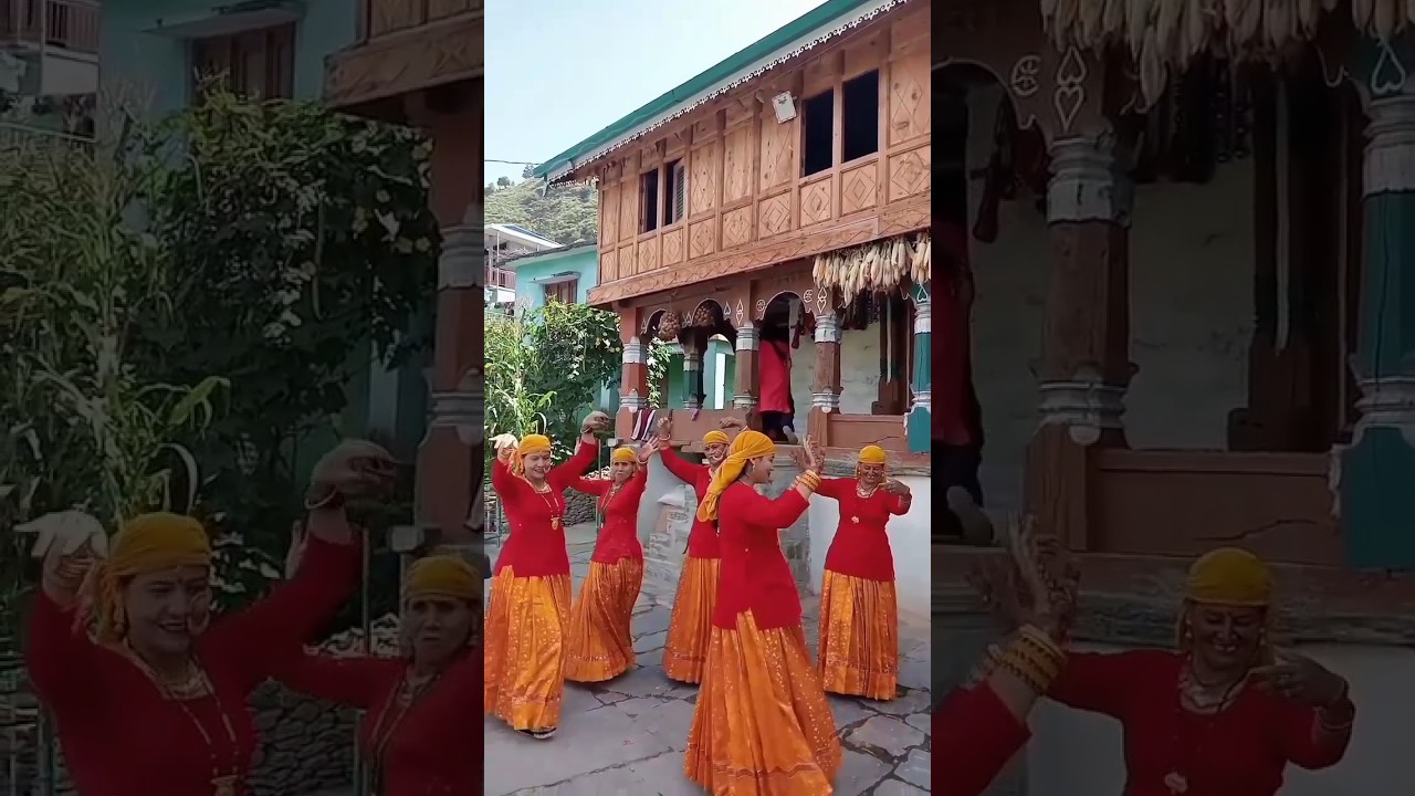 Jaunsari folk traditional dance👌// amazing dress😍 // जौनसारी डांस  #uttarakhand #culture #short