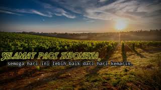 Download lagu STORY WA.Selamat pagi indonesia mp3