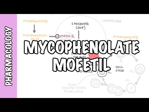 Acide mycophénolique - mycophénolate (greffe d'organe et DMARD) - mécanisme d'action, effets secondaires