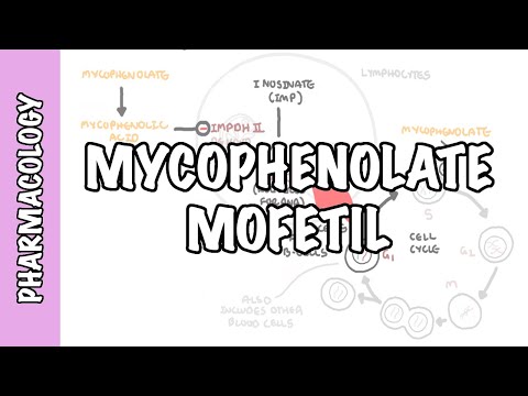 Mycophenolic Acid Mycorite-S 360 elera, Box