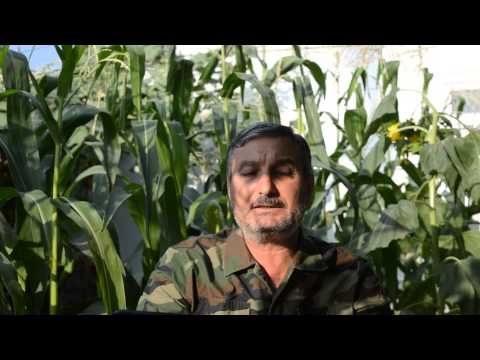 كلمة العقيد رياض الأسعد قائد الجيش السوري الحر بمناسبة السنة الرابعة لتأسيس الجيش السوري الحر