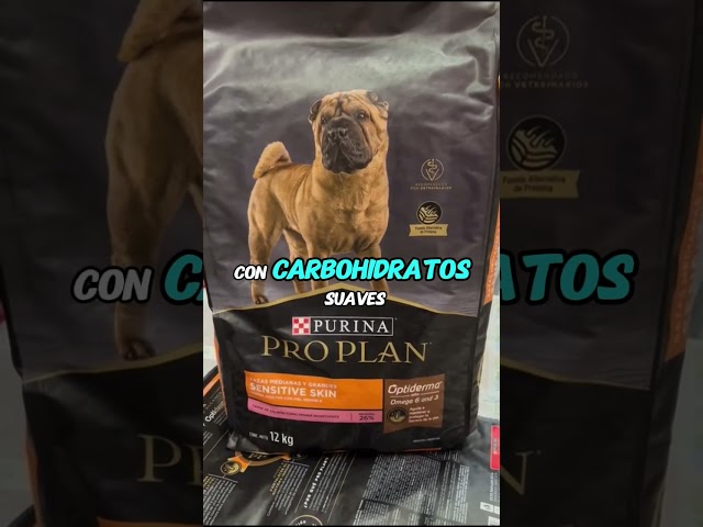 Vídeo relacionado con DIBO Piel de salmón, Bolsa de 50 g, el pequeño Aperitivo o golosina para Comida para Perros