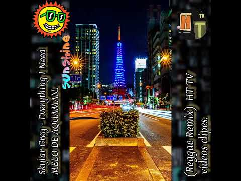 Skylar Grey - Everything I Need (Reggae Remix) Músicas HT TV