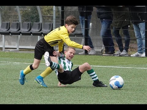 VVV-Venlo O11 - PEC Zwolle O11