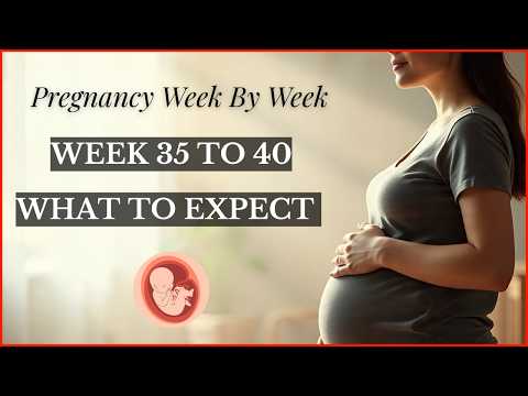 Pregnancy Week by Week: Weeks 35-40 | What to Expect Before Labor & Birth (2025)