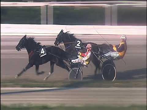 Trotto 17/01/2020 - 3ª corsa