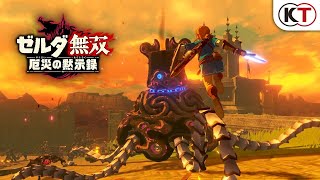 Hyrule Warriors: Age of Calamity [Treasure Box] (Limited Edition) video 2