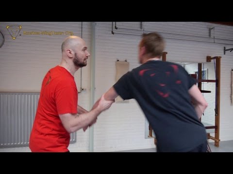 EWO - Sifu Edgar Zimmermann (Free Flowing & Controlled Chi Sao - 2015)