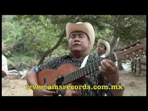 Los Campiranos de Lalo Gomez - No Pasan en Vano