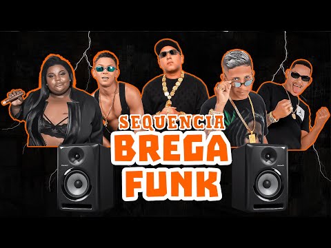 SEQUENCIA BREGA FUNK / ARROCHA FUNK -  SELEÇÃO DAS TOPS PARA O CARNAVAL 2025