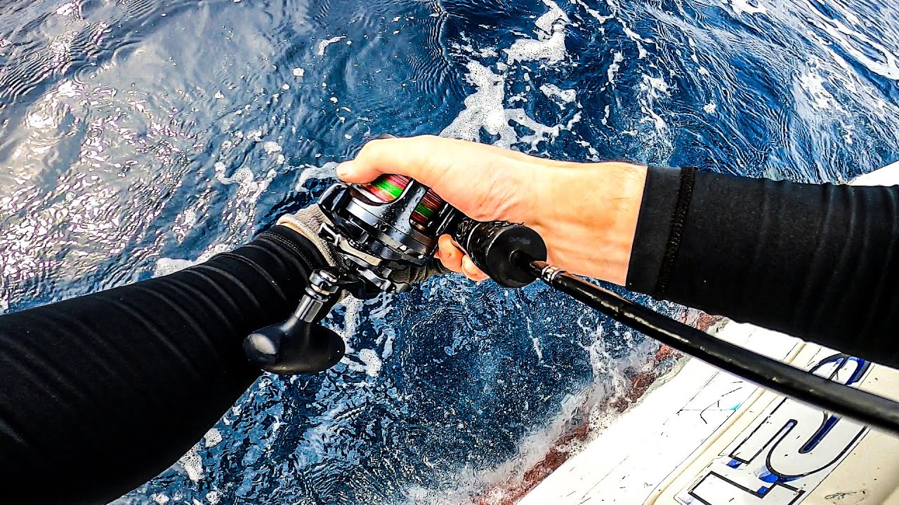 秋の落とし込みで大物狙い②