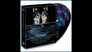 Tangerine Dream Proton Bonfire 08.09.2016 Live at Augusta Raurica Switzerland