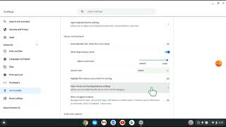 how to change what your cursor/mouse looks like on chromebook 2024