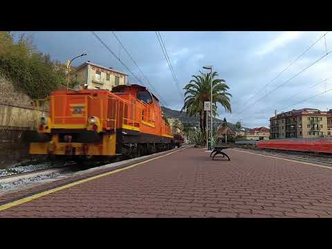 D145.2045 - Minimerci in Diesel