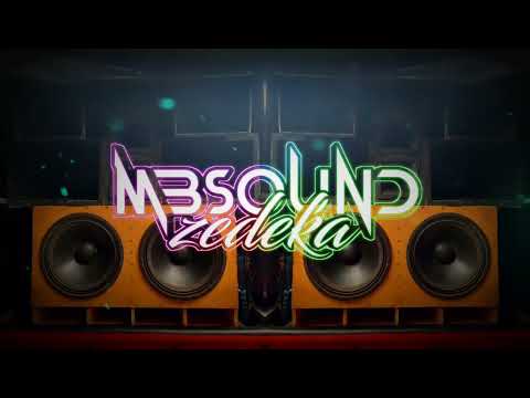 BLACKFLAYS - VENGABOYS X WE LIKE TO PARTY (MBS REMIX 2024)