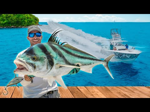 2 Days Chasing Every Fish in Costa Rica! Catch Clean & Cook