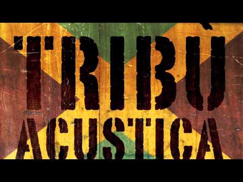 LICK SAMBA - TRIBU' ACUSTICA 2014