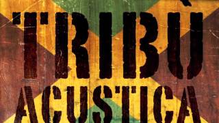 LICK SAMBA - TRIBU' ACUSTICA 2014