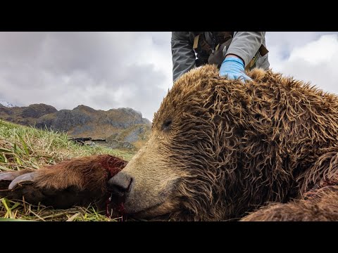 The Best Handgun for Bear Defense???