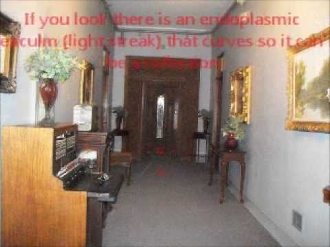 Jerome Grand Hotel Video 6