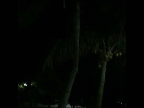 My first time down in Cancun Mexico