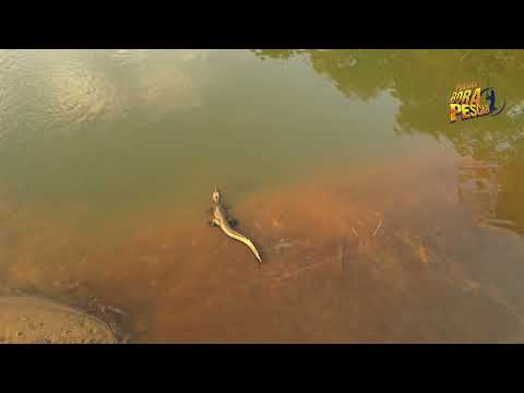 Pousada Bora Pescar em Luciara - Mato Grosso