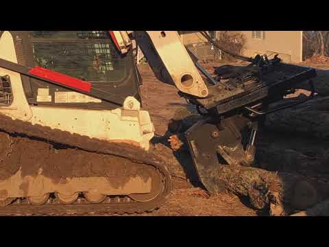 and Pumpkin Tree Shear!  #69