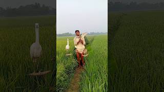 Download lagu বক পাখি Kiban cara cicem mengaku ka jipoh p****? mp3