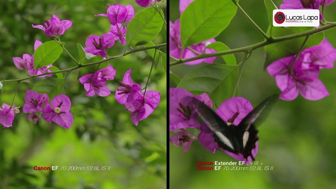 Телеконвертер Canon Extender EF 2x III 