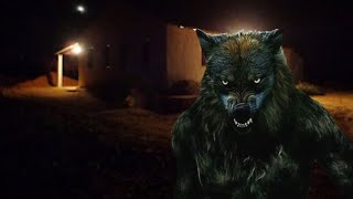 O LOBISOMEM INVADIU A CASA PARA PEGAR MINHA PRIMA RECÉM - NASCIDA. (RELATO TOP)