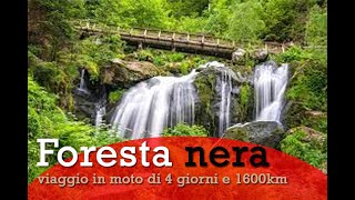 4 giorni nella Foresta Nera