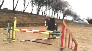 Video von Arafat