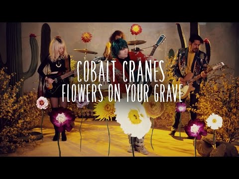 Cobalt Cranes - 