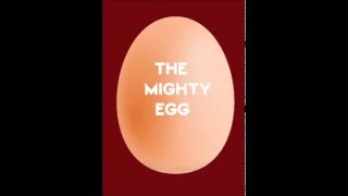 Steps  5,6,7,8 // Mighty Egg Remix