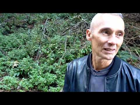 Generico luglio 2022