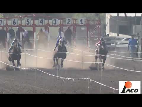 RINGO HIPODROMO DON SOHAR CRUZ DEL EJE 05 06 2022