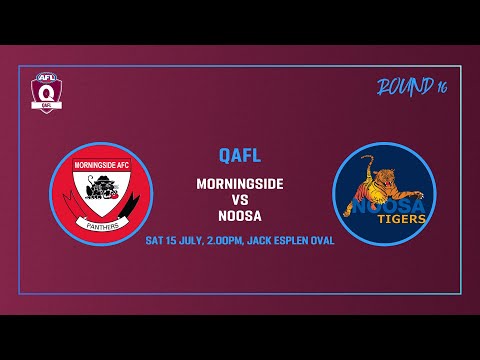 LIVE QAFL ROUND 16 - Morningside v Noosa