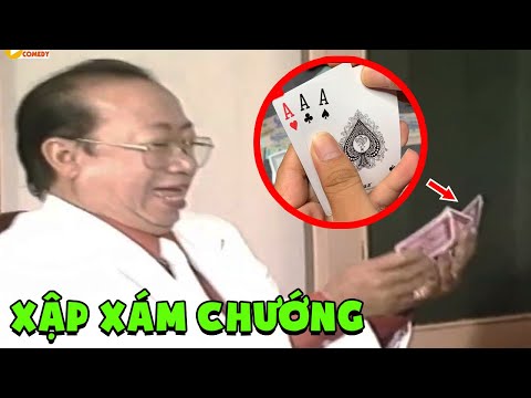 Xập xám chướng - Tùng Lâm